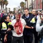 5c8a43a420000043046eed4c