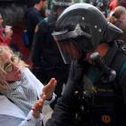 5c8a43b0230000d50422df29