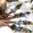 5c8ada612300003000e74a7e