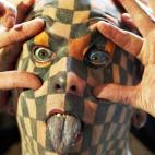 5c8ada90250000e203c9c360