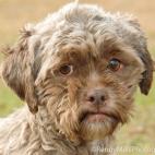 Renny Mills Photography