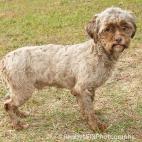 Renny Mills Photography