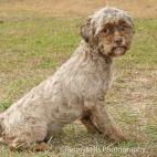 Renny Mills Photography