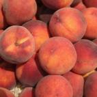 "Hace algunos años, resultaba evidente: melón y sandía en verano, naranjas en invierno... Ahora, en cambio, no nos podemos privar de nada en ningún momento del año, aunque el transporte de esos productos a miles de kilómetros suponga un im...