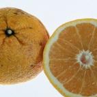 Que una fruta tenga alguna marca en la cáscara o menos brillo no quiere decir que esté mala; hasta puede ser más natural. Hay muchos productos que no llegan a los mercados porque su aspecto externo no es perfecto. Pero esto puede cambiar: en ...