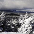 Vista desde el Alto de los Leones. La comunidad de Madrid ha amanecido cubierta por la nieve del temporal.