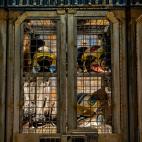 Rise of the Resistance