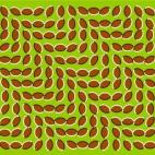 5c8a4707240000f404a2ded7