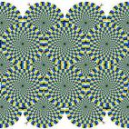 5c8a4709260000e804fe2361