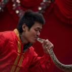 5c8adc54360000e01c6c32b4