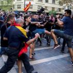 5c8ab6942300000401238f81