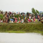 5c8a3ce82500000a0680e238