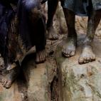 5c8a3cec2400005405a2d1d0