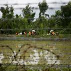 5c8a3ced360000a61b6b36e1