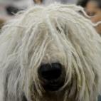 5c8adcb5230000dd0423d747