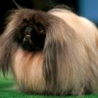 5c8adcb6240000f7054c9628