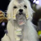 5c8adcb62400006d054c962a