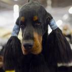 5c8adcb62500001304c9c732