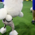 5c8adcb72300003000e74e8d