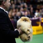 5c8adcb72000009d036fe193