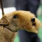 5c8adcb83b000070066cb456