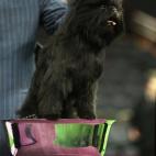 5c8adcb8360000e01c6c3350