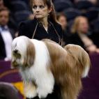 5c8adcb9360000ba1a6c3354