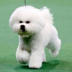 5c8adcb922000033001a028f