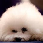 5c8adcba2400006c05a3d25a