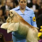 5c8adcba20000043046fe199