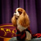 5c8adcba22000051001a0291