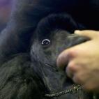 5c8adcbb2300002f00e74e93