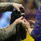 5c8adcbb360000ba1a6c3358