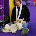 5c8adcbb3b000054066cb459