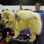 5c8adcbb230000d50423d74d