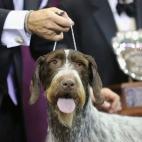 5c8adcbc2300007f0123d74f