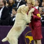 5c8adcbd22000030001a0295