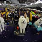 5c8adcbd360000e01c6c335a