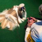 5c8adcbe2500001304c9c73d