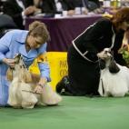 5c8adcbe22000031001a0297