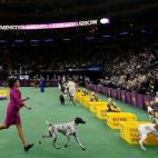 5c8adcbe2300002f00e74e97