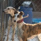 5d3097aa240000ff34935e57