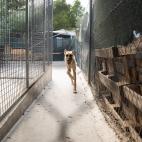 5d31901f2400008c17935f71