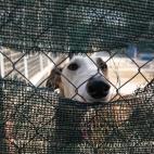 5d318e003b00003700dacdd2