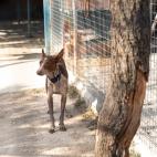 5d3190842600004900044e1d