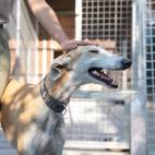 5d309b482600004f00044d0e