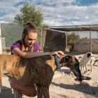 Naiara, la hija de Pura, con algunos de los galgos del recinto