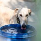 5d3190a72600004f00044e1e