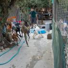 5d3190ce2600004f00044e1f