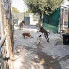 5d31914e2400001120935f74